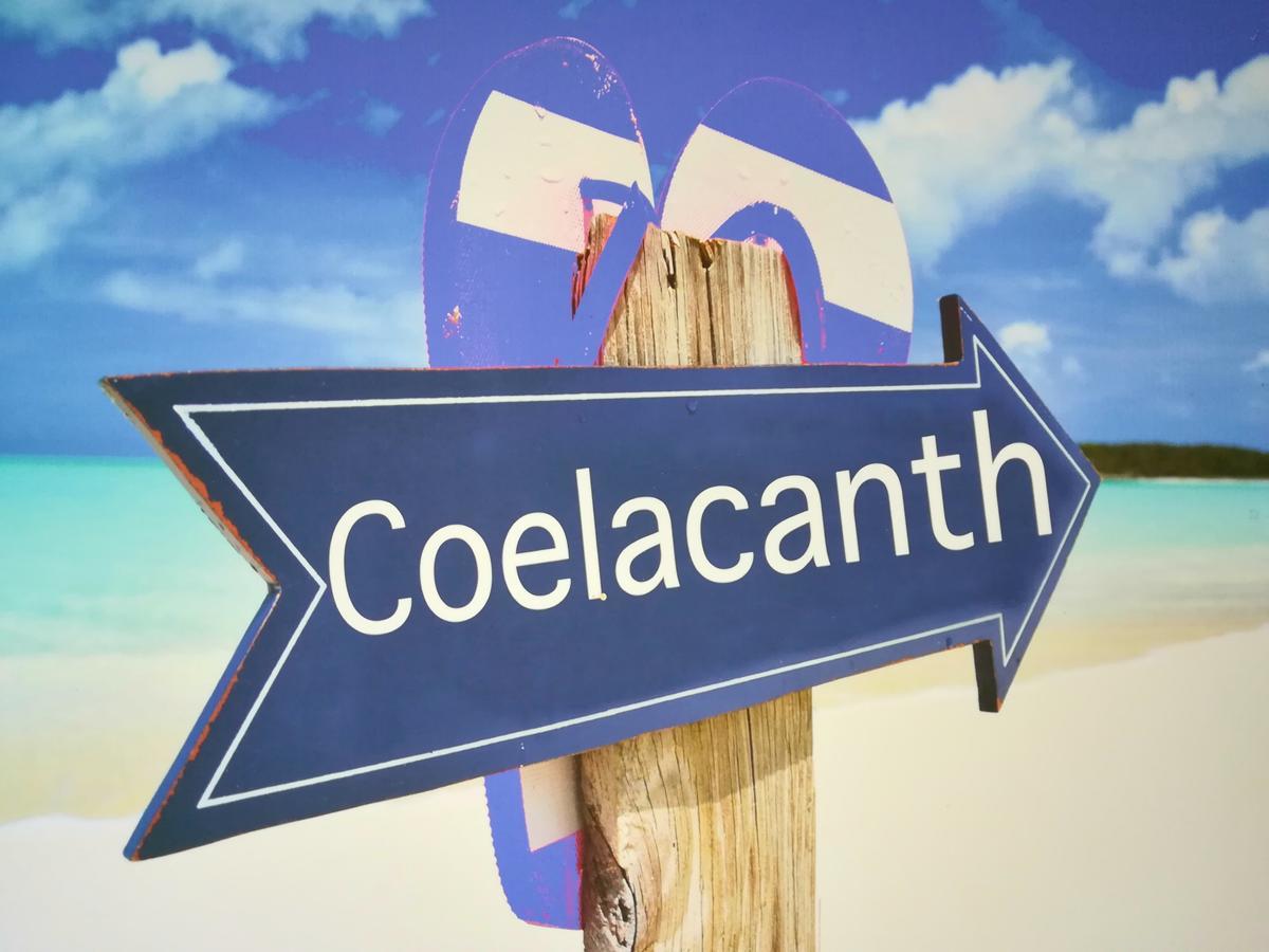 The Coelacanth Guest House And Beach Thyme Self Catering Kidd's Beach Luaran gambar